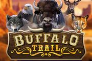 Buffalo Trail